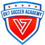 DV7 Academy